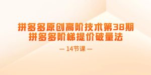 拼多多平台原创设计高级技术性第38期，拼多多平台台阶涨价破量法（14堂课）-网创资源