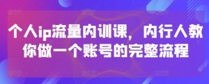 个人ip流量内训课，内行人教你做一个账号的完整流程-网创资源