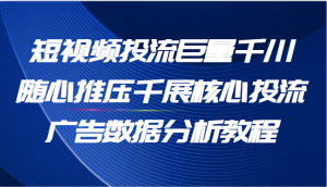 短视频投流巨量千川随心推压千展核心投流广告数据分析教程（65节）-网创资源