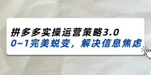 2024-2025拼多多平台实际操作运营战略3.0，0~1华丽蜕变，处理信息焦虑（38节）-网创资源