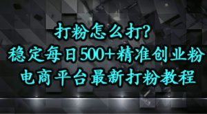 打粉怎么打？电商平台打精准创业粉，每日引流500+精准粉-网创资源