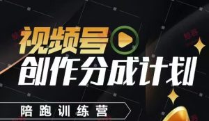 视频号创作分成计划陪跑训练营，手把手教会你如何制作视频，细水长流型项目-网创资源