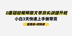 0基础短视频图文带货实战提升班，小白3天快速上手做带货(直播课+视频课)-网创资源