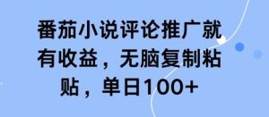 番茄小说评论推广就有收益，无脑复制粘贴，单日100+-网创资源