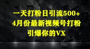 一天打粉日引流500+，4月份最新视频号打粉，引爆你的微信-网创资源