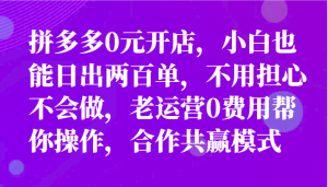 全新拼多多平台优质企业新手褔利，二天销售量过百单，不要钱、老经营代实际操作-网创资源