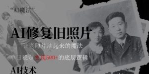 AI 魔法：让泛黄旧照变成朋友圈爆款视频，私域转化率提升50%，单日变现5张-网创资源