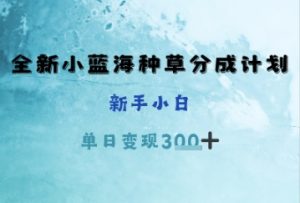 全新小蓝海种草分成计划，新手小白，单日变现3张+-网创资源