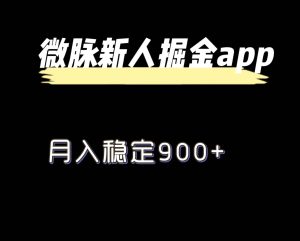 全新微脉长期新项目，引流掘金队，月入平稳900-网创资源