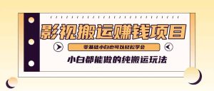教你如何实际操作影视剧运送新项目，新手都可以做零基础还能赚钱-网创资源