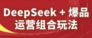 DeepSeek+爆品运营组合玩法，2025淘系精品课-网创资源