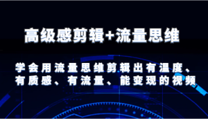 现代感视频剪辑 流量思维 试着用流量思维视频剪辑出有温度的、很有质感、流量多、能快速变现短视频-网创资源