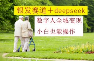 银发赛道+deepseek数字人全域变现，小白也能操作-网创资源