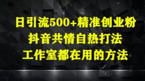 日引流500+精准创业粉，抖音共情自热打法，工作室都在用的方法-网创资源