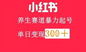 小红书养生赛道，暴力起号，轻松日入3张+-网创资源