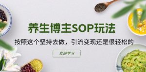 健康养生时尚博主SOP游戏玩法，按这个坚持去做，引流变现或是轻轻松松的-网创资源