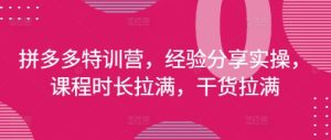 拼多多特训营，经验分享实操，课程时长拉满，干货拉满(更新25年4月)-网创资源