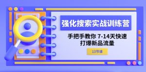 强化搜索实战训练营，手把手教你7-14天快速打爆新品流量（13节课）-网创资源