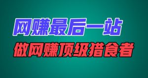 网络赚钱最后一站，卖项目，做网络赚钱顶尖猎食者-网创资源