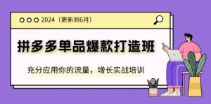 2024拼多多单品爆款打造班，充分应用你的流量，增长实战培训(更新6月)-网创资源