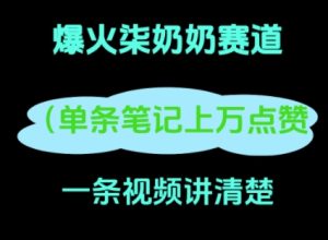 小红书爆火柒奶奶，13 天涨粉 8.7 W，全流程拆解-网创资源
