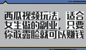 西瓜视频玩法，适合女生做的副业，只要你敢露脸就有收益-网创资源