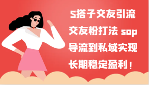 S搭子交朋友引流方法，交朋友粉玩法 sop，引流到公域实现长期高抛低吸！-网创资源