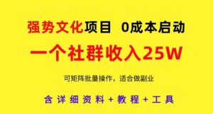 强势文化项目，一个社群收入25个W，0成本启动，可矩阵批量操作，原创详细实操教程-网创资源