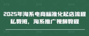 2025年淘系电商标准化起店流程私教班，淘系推广视频教程-网创资源
