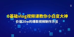 0基础vlog视频课教你小白变大神：价值20w的爆款视频制作方法-网创资源