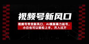视频号带货新风口，AI模版暴力起号，小白也可以轻松上手，月入过W-网创资源
