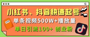 小红书、抖音、快手快速起号，单条视频500w播放量，单日引流100+创业粉-网创资源