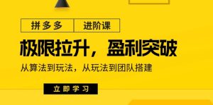拼多多平台升阶课：极限值拉涨/赢利提升：从优化算法到游戏玩法 从模式到团队搭建（18节）-网创资源