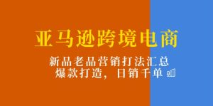 亚马逊平台跨境电子商务：新产品老品营销推广玩法归纳，爆款打造，日销千单-网创资源
