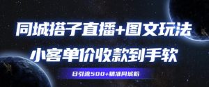 同城搭子图文+直播玩法拆解，小客单价收款到手软，引流500+精准同城粉-网创资源