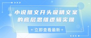 小说推文开头吸睛文案的底层思维逻辑实操-网创资源