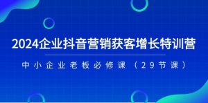 2024企业抖音营销拓客提高夏令营，中小型企业老总必修课程（29堂课）-网创资源