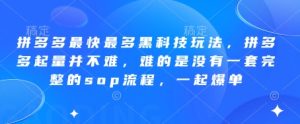 拼多多最快最多黑科技玩法，拼多多起量并不难，难的是没有一套完整的sop流程，一起爆单!-网创资源