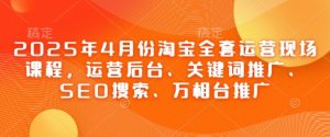 2025年4月份淘宝全套运营现场课程，运营后台、关键词推广、SEO搜索、万相台推广-网创资源