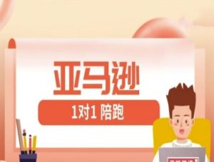 亚马逊1对1陪跑课(FBA/FBM精铺)跨境亚马逊教程-网创资源