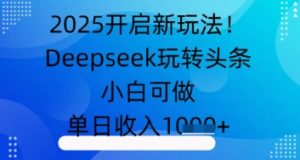 2025开启新玩法！Deepseek玩转头条，小白可做，单日收入几张-网创资源