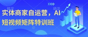 实体商家自运营，AI短视频矩阵特训班-网创资源