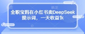 全职宝妈在小红书卖DeepSeek提示词，一天收益1k-网创资源