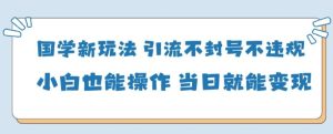 国学新玩法，引流不封号不违规小白也能操作，当日就能变现-网创资源