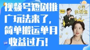 视频号短剧推广最新玩法，简单搬运单月收益过W，小白也能轻松上手-网创资源