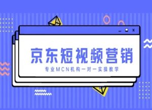 京东短视频营销项目，专业MCN机构一对一实操教学-网创资源