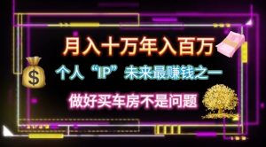 本人“ip”月入10w，年收入100w-网创资源