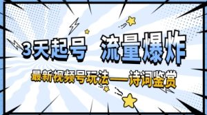 一天收入几张，视频号最新赛道—诗词鉴赏，3天必起，流量爆炸，新人也能轻松上手-网创资源