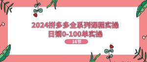 2024拼多多平台全主题课程实际操作，日销0-100单实际操作【16堂课】-网创资源