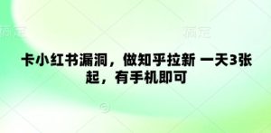 卡小红书漏洞，做知乎拉新 一天3张起，有手机即可-网创资源